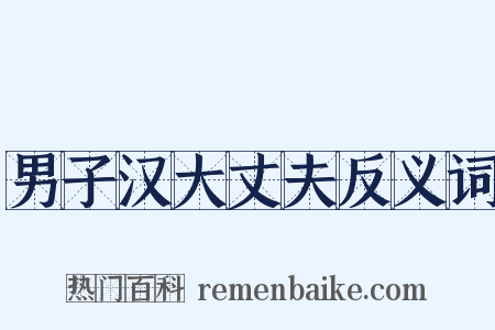 男子汉大丈夫反义词是什么意思的图片